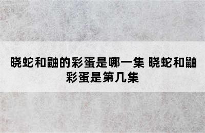 晓蛇和鼬的彩蛋是哪一集 晓蛇和鼬彩蛋是第几集